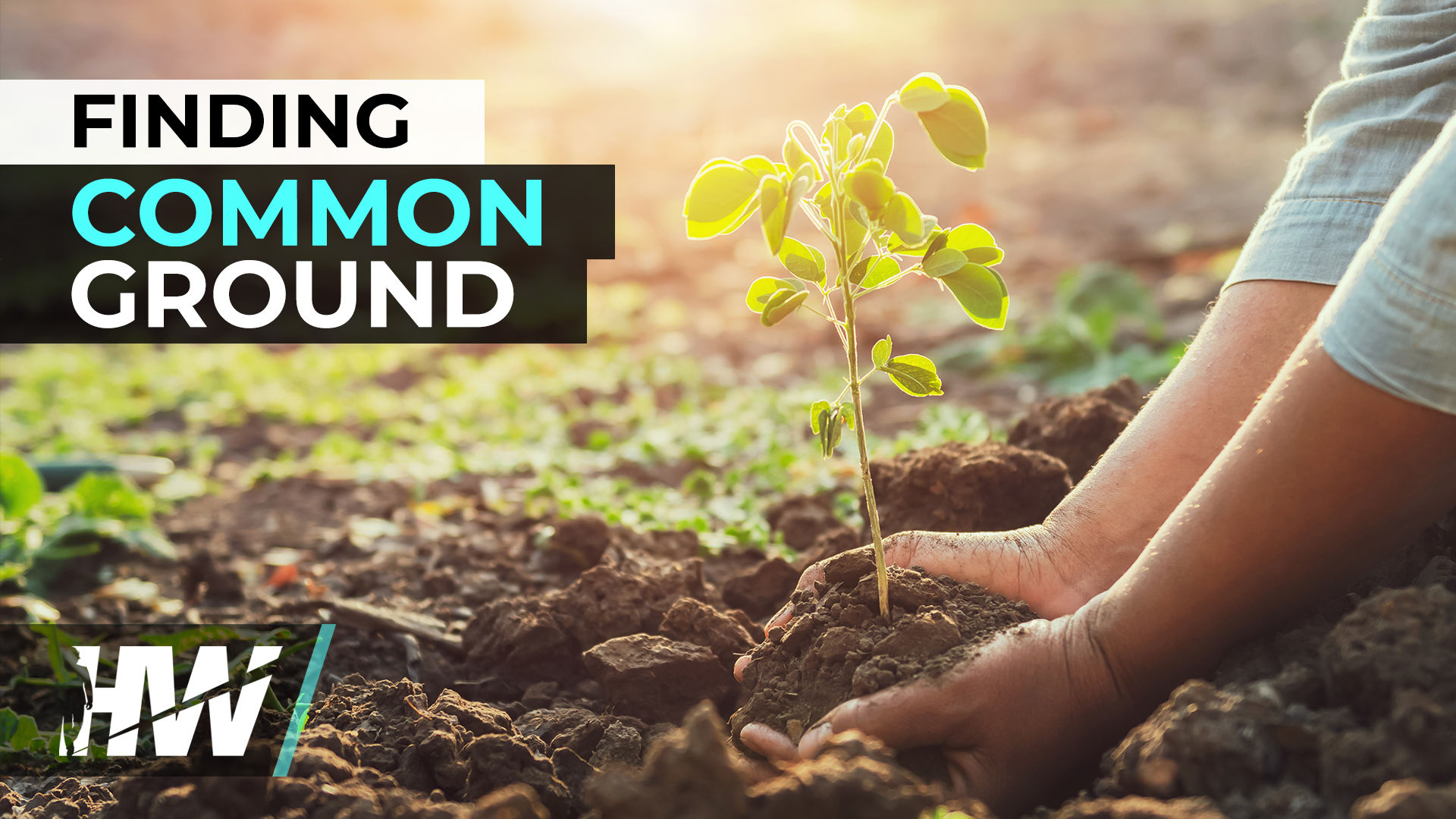 Finding Common Ground The Highwire