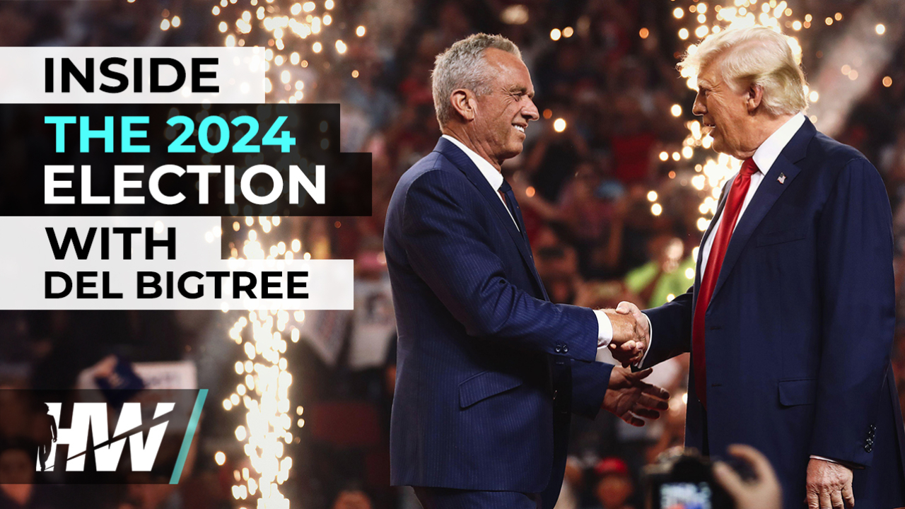 INSIDE THE 2024 ELECTION WITH DEL BIGTREE - The HighWire